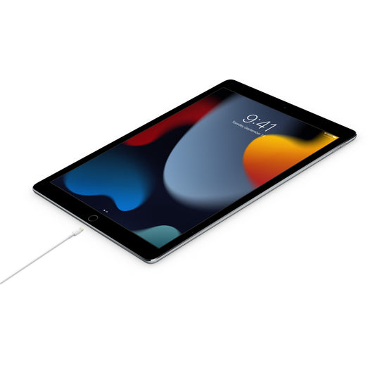 APPLE USB-C to Lightning Cable (1m) | ref ECI-MUQ93ZM/A