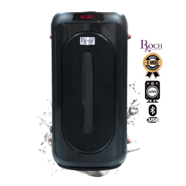 Caixa de Som Recarregável Roch com Microfone e 2 Subwoofers 06" ref EZ-RPS-06M2
