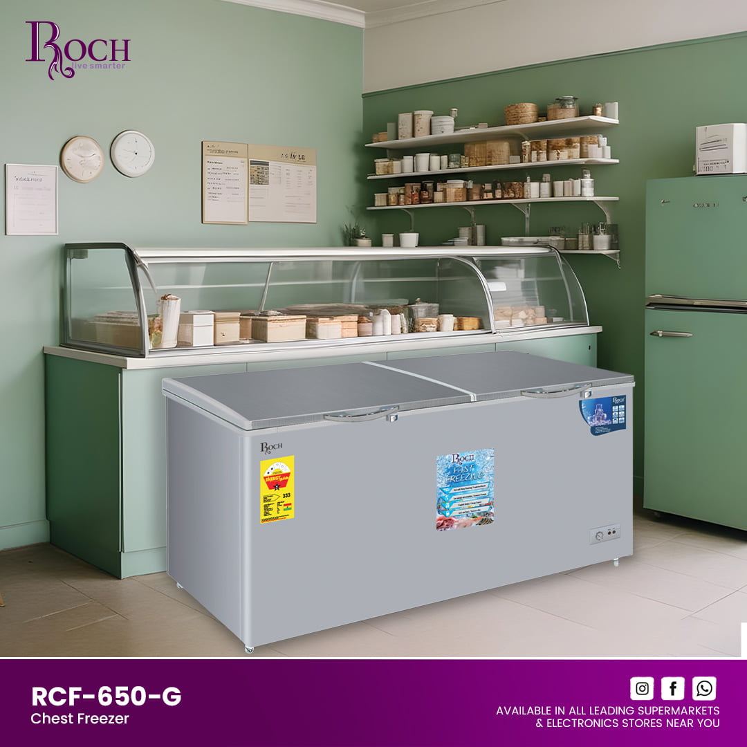 ROCH chest freezer 500L large volume efficient in Angola
