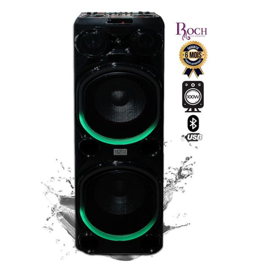 ROCH Rechargeable Speaker 12" 100W 2 Subwoofers – available in Luanda and across Angola