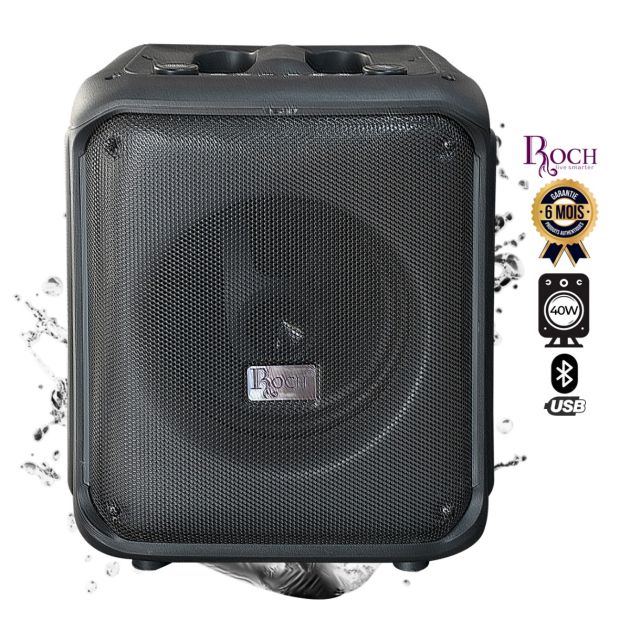 Caixa de Som Recarregável Roch com Microfone 1 Subwoofer 8"/40W ref EZ-RPS-08M1