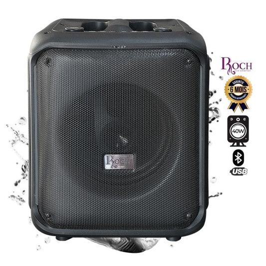 ROCH Rechargeable Speaker 8" 40W 1 Subwoofer – available in Luanda and across Angola