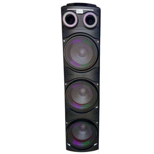 ROCH Rechargeable Speaker 12" 100W 3 Subwoofers – available in Luanda and across Angola